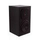 Intra Specific Isolation Technology Inert CDASP6 Speaker Cabinet