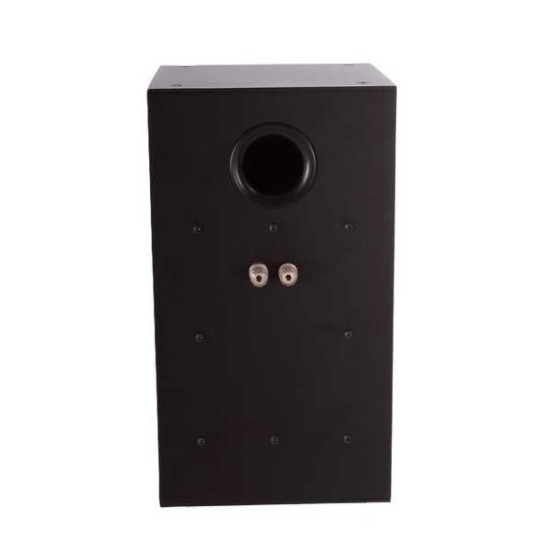 Intra Specific Isolation Technology Inert CDASP6 Speaker Cabinet