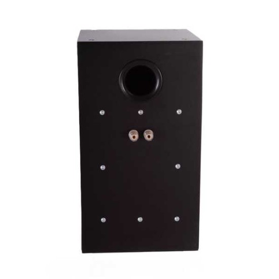 Intra Specific Isolation Technology Inert CDASP6 Speaker Cabinet